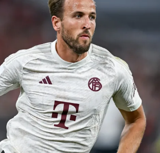 其在国际舞 其在国际舞