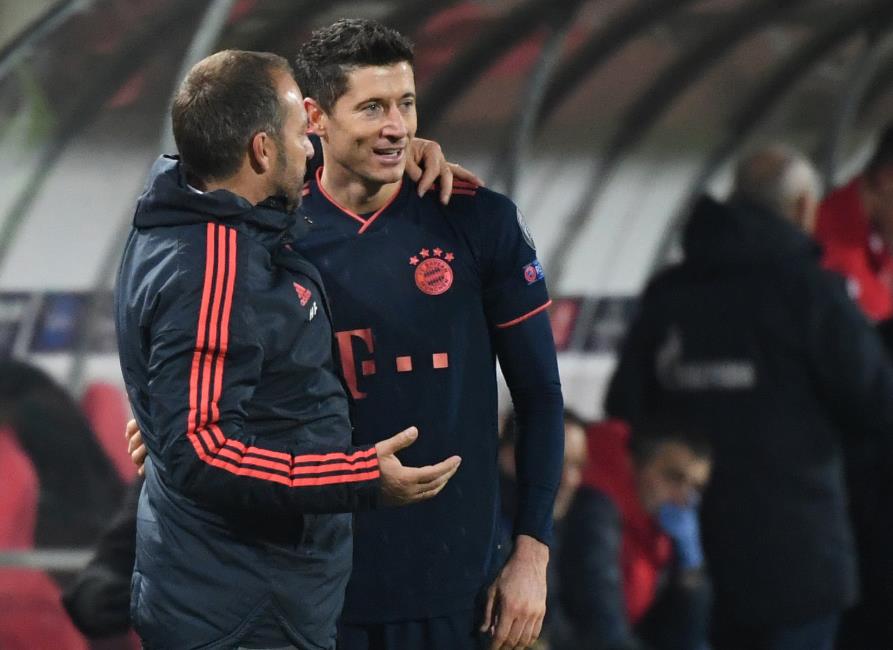 结合森林狼 结合森林狼