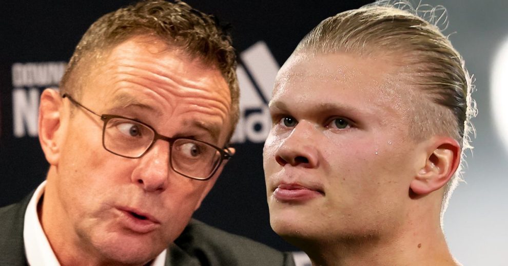 德州游骑兵 德州游骑兵